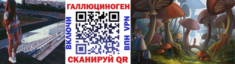 Купить  Ряжск  Псилоцибиновые грибы мицелий 